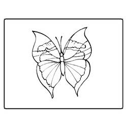 Раскраска: бабочка (Животные) #15822 - Бесплатные раскраски для печати