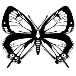 Раскраска: бабочка (Животные) #15827 - Бесплатные раскраски для печати
