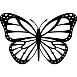 Раскраска: бабочка (Животные) #15834 - Раскраски для печати