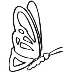 Раскраска: бабочка (Животные) #15840 - Бесплатные раскраски для печати