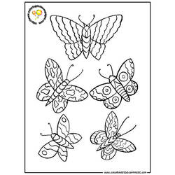 Раскраска: бабочка (Животные) #15845 - Бесплатные раскраски для печати