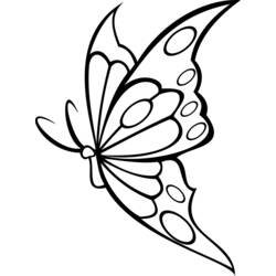 Раскраска: бабочка (Животные) #15848 - Раскраски для печати