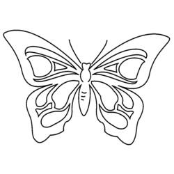 Раскраска: бабочка (Животные) #15850 - Раскраски для печати