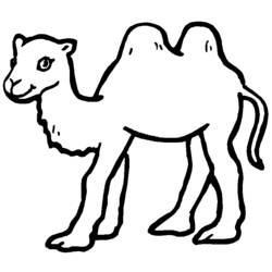 Раскраска: верблюд (Животные) #1661 - Раскраски для печати