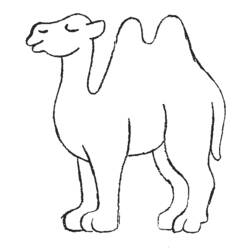 Раскраска: верблюд (Животные) #1664 - Раскраски для печати
