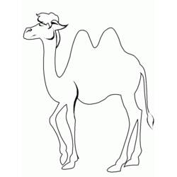 Раскраска: верблюд (Животные) #1674 - Раскраски для печати