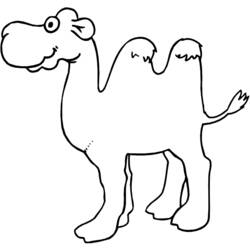 Раскраска: верблюд (Животные) #1676 - Раскраски для печати
