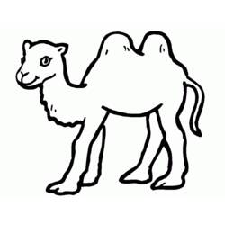 Раскраска: верблюд (Животные) #1681 - Раскраски для печати