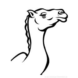 Раскраска: верблюд (Животные) #1685 - Раскраски для печати