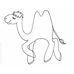 Раскраска: верблюд (Животные) #1688 - Раскраски для печати