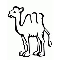 Раскраска: верблюд (Животные) #1693 - Раскраски для печати