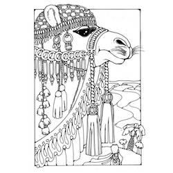 Раскраска: верблюд (Животные) #1694 - Раскраски для печати
