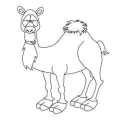 Раскраска: верблюд (Животные) #1704 - Раскраски для печати