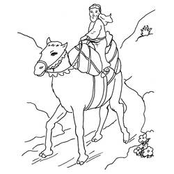 Раскраска: верблюд (Животные) #1709 - Раскраски для печати