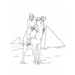 Раскраска: верблюд (Животные) #1713 - Раскраски для печати
