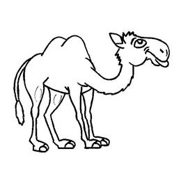 Раскраска: верблюд (Животные) #1719 - Раскраски для печати