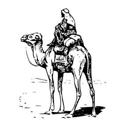 Раскраска: верблюд (Животные) #1729 - Раскраски для печати