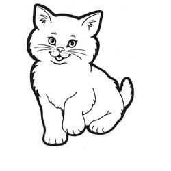 Раскраска: кот (Животные) #1761 - Раскраски для печати