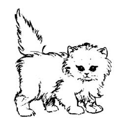 Раскраска: кот (Животные) #1770 - Бесплатные раскраски для печати