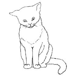Раскраска: кот (Животные) #1783 - Бесплатные раскраски для печати