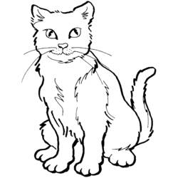 Раскраска: кот (Животные) #1789 - Бесплатные раскраски для печати