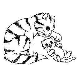 Раскраска: кот (Животные) #1799 - Раскраски для печати