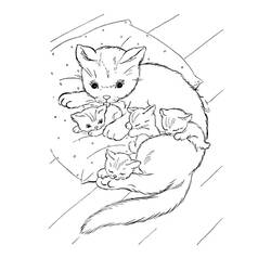 Раскраска: кот (Животные) #1805 - Бесплатные раскраски для печати