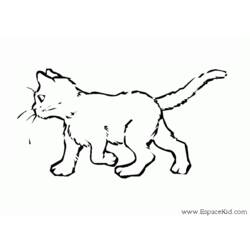 Раскраска: кот (Животные) #1812 - Раскраски для печати