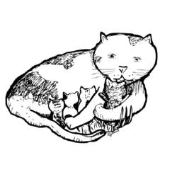 Раскраска: кот (Животные) #1821 - Бесплатные раскраски для печати