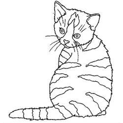 Раскраска: кот (Животные) #1843 - Раскраски для печати