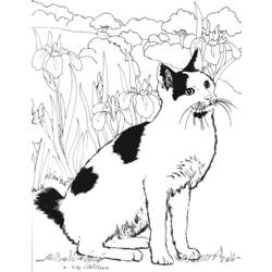 Раскраска: кот (Животные) #1846 - Бесплатные раскраски для печати