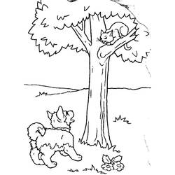 Раскраска: кот (Животные) #1849 - Бесплатные раскраски для печати
