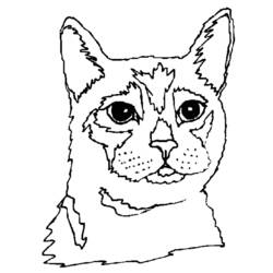 Раскраска: кот (Животные) #1856 - Бесплатные раскраски для печати