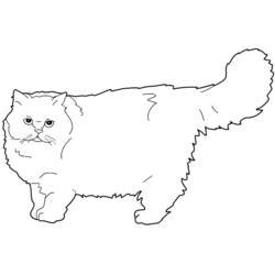 Раскраска: кот (Животные) #1858 - Бесплатные раскраски для печати