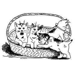 Раскраска: кот (Животные) #1901 - Раскраски для печати