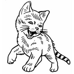 Раскраска: кот (Животные) #1904 - Раскраски для печати