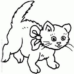 Раскраска: кот (Животные) #1906 - Раскраски для печати