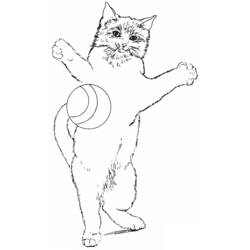 Раскраска: кот (Животные) #1908 - Бесплатные раскраски для печати