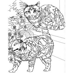 Раскраска: кот (Животные) #1913 - Бесплатные раскраски для печати