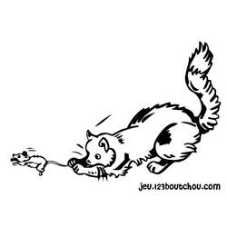 Раскраска: кот (Животные) #1951 - Бесплатные раскраски для печати