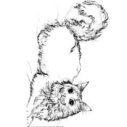 Раскраска: кот (Животные) #1955 - Бесплатные раскраски для печати