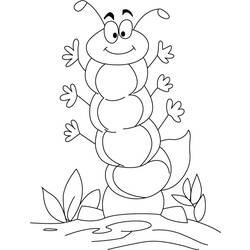 Раскраска: гусеница (Животные) #18247 - Раскраски для печати