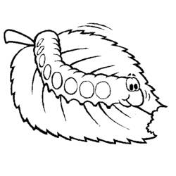 Раскраска: гусеница (Животные) #18263 - Раскраски для печати