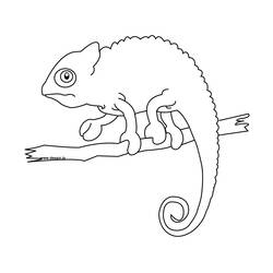 Раскраска: хамелеон (Животные) #1393 - Раскраски для печати