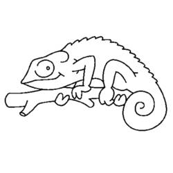 Раскраска: хамелеон (Животные) #1394 - Раскраски для печати