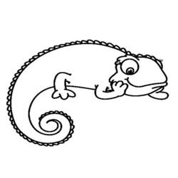 Раскраска: хамелеон (Животные) #1398 - Раскраски для печати