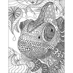 Раскраска: хамелеон (Животные) #1404 - Раскраски для печати