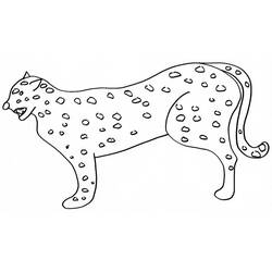Раскраска: гепард (Животные) #7875 - Раскраски для печати