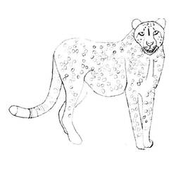 Раскраска: гепард (Животные) #7898 - Раскраски для печати