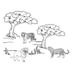 Раскраска: гепард (Животные) #8005 - Раскраски для печати